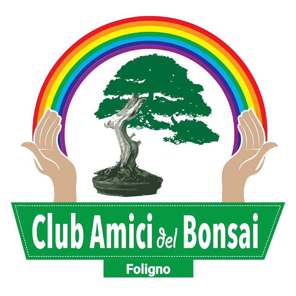 Club Amici del Bonsai